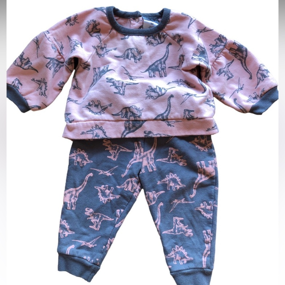 Girls Dinosaur Sweater/Pant Set